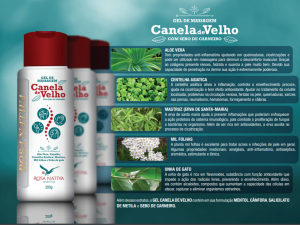 Gel de Massagem Canela de Velho